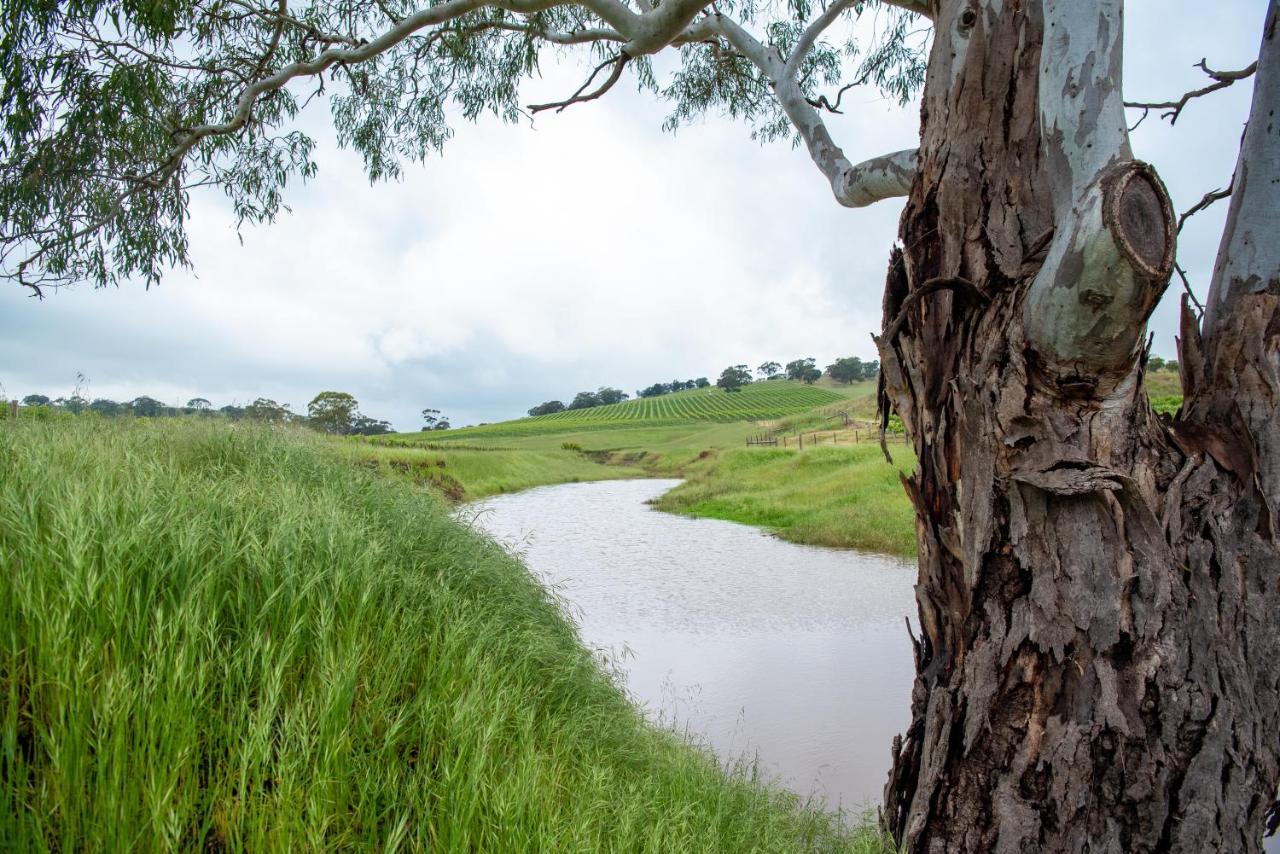 Triple Creek Guest House - Barossa Region Seppeltsfield Exteriér fotografie