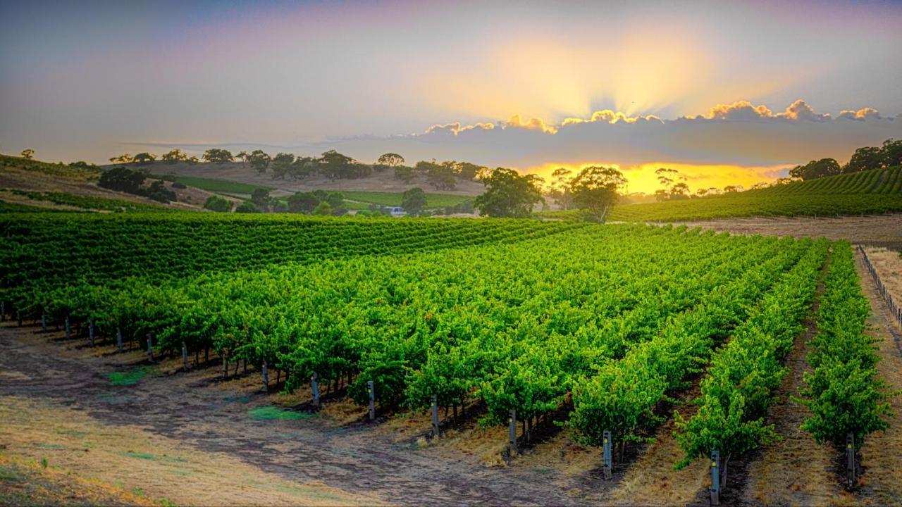 Triple Creek Guest House - Barossa Region Seppeltsfield Exteriér fotografie