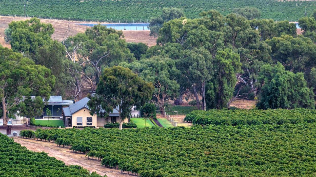 Triple Creek Guest House - Barossa Region Seppeltsfield Exteriér fotografie